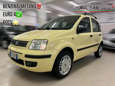 Usata Fiat Panda Dynamic 60 CV (44 kW) 2009 Giallo Utilitaria