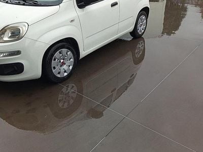 Usata Fiat Panda 80 CV (58 kW) 2015 Bianco Utilitaria