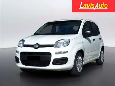 Nuova Fiat Panda Icon 65 CV (47 kW) 2026 Bianco Utilitaria