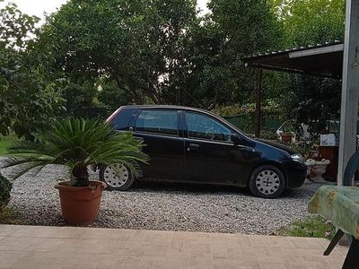 Usata Fiat Punto 69 CV (50 kW) 2010 Nero Utilitaria