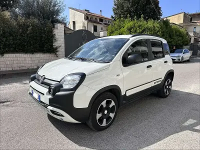 Usata Fiat Panda Cross Cross 95 CV (69 kW) 2019 Bianco Utilitaria