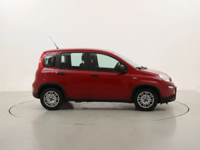 Usata Fiat Panda 70 CV (51 kW) 2024 Rossorosso Utilitaria