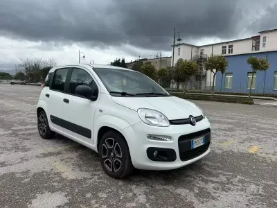 Usata Fiat Panda S 95 CV (69 kW) 2017 Bianco Utilitaria