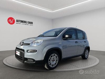 Usata Fiat Panda S 70 CV (51 kW) 2022 Grigio Utilitaria