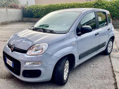 usata Fiat Panda 3ª serie - 2018