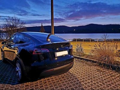 Usata Tesla Model Y RWD 88 kW (120 CV) 2022 SUV