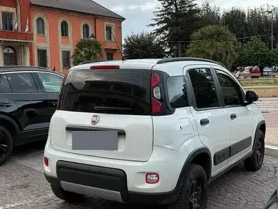 Usata Fiat Panda 4x4 95 CV (69 kW) 2017 Bianco Utilitaria
