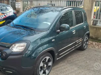 Usado Fiat Panda Cross Cross 65 CV (47 kW) 2026 Verde Utilitario