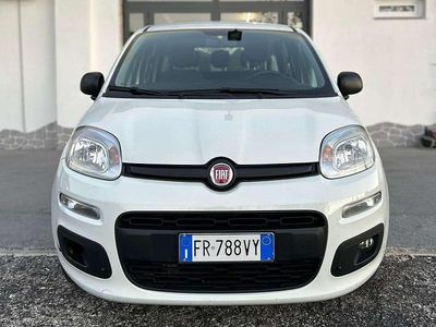Usata Fiat Panda Easy 95 CV (69 kW) 2018 Bianco Utilitaria