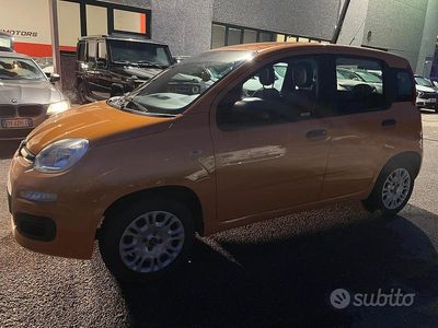 Usata Fiat Panda 69 CV (50 kW) 2017 Arancione Utilitaria