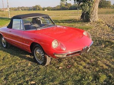 Usata Alfa Romeo Spider 110 CV (80 kW) 1966 Other Cabrio