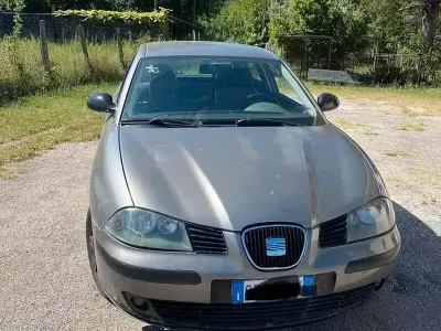 Usata Seat Ibiza
