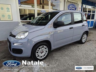 Usata Fiat Panda Easy 69 CV (50 kW) 2020 Gray