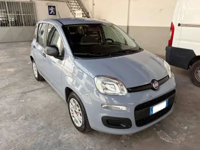 Usata Fiat Panda Easy 69 CV (50 kW) 2017 Grigio Utilitaria