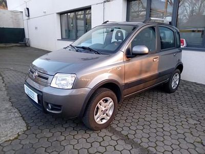 Usado Fiat Panda 4x4 74 HP (54 kW) 2011 Cinzento Citadino