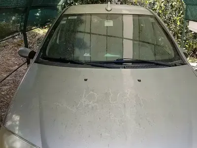 Usata Fiat Punto 69 CV (50 kW) 2005 Utilitaria