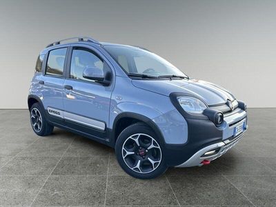 Usata Fiat Panda Cross Cross 69 CV (50 kW) 2021 Grigio Utilitaria