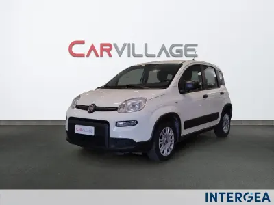 Usata Fiat Panda Street 70 CV (51 kW) 2022 Bianco Utilitaria