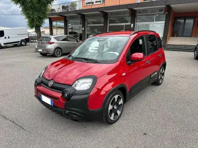 Usata Fiat Panda Cross Cross 65 CV (47 kW) 2025 Rosso Utilitaria