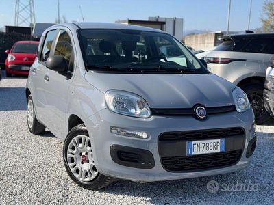 Usata Fiat Panda Lounge 69 CV (50 kW) 2017 Grigio Utilitaria