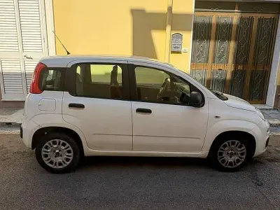 Usata Fiat Panda 80 CV (58 kW) 2016 Utilitaria