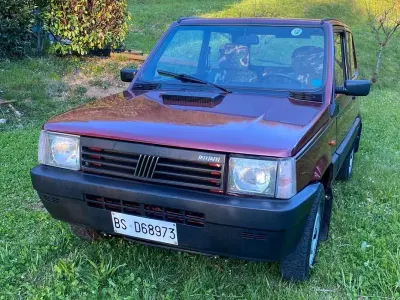 Usata Fiat Panda 4x4 Trekking 44 CV (32 kW) 1991 Rosso Utilitaria