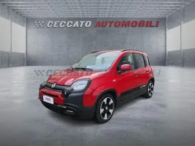 Usata Fiat Panda S 69 CV (50 kW) 2025 Rosso Berlina