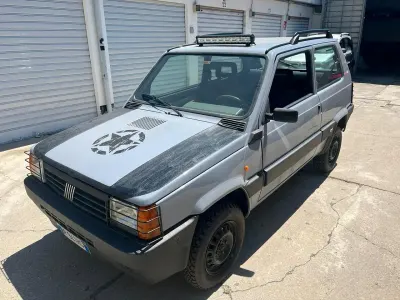 Usata Fiat Panda 4x4