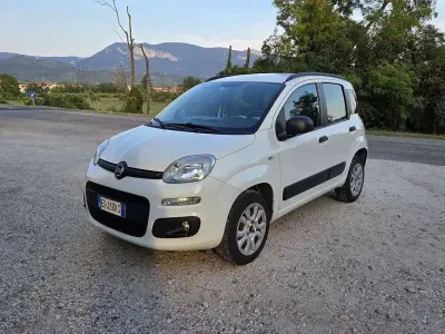 Usata Fiat Panda Trekking 85 CV (62 kW) 2014 Utilitaria