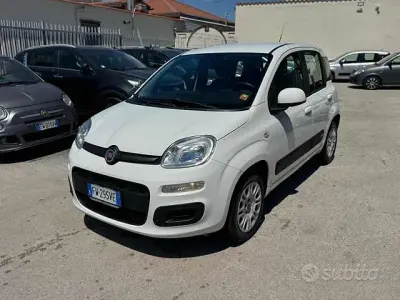 Usata Fiat Panda Easy 69 CV (50 kW) 2019 Bianco Utilitaria