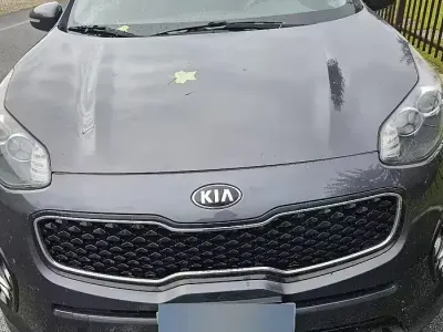 Usata Kia Sportage 115 CV (84 kW) 2016 Grigio SUV