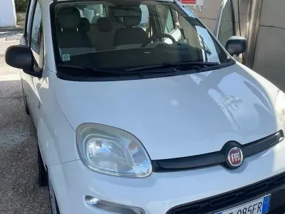Usata Fiat Panda 69 CV (50 kW) 2014 Bianco Utilitaria