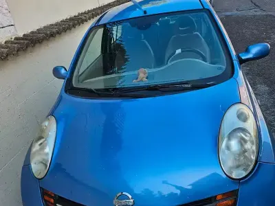 Usata Nissan Micra
