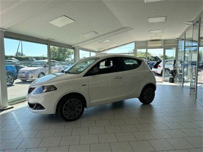 usata Lancia Ypsilon 1.0 Hybrid Ecochic Gold #NEOPATENTATI