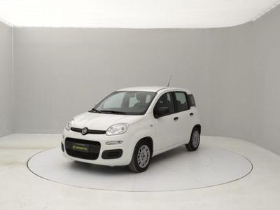 usata Fiat Panda 1.0 Mild Hybrid rif. 18009581