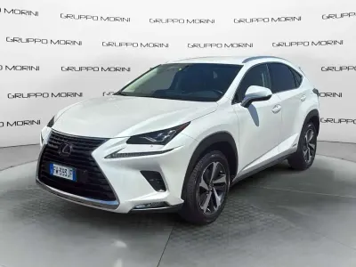 Usata Lexus NX300h
