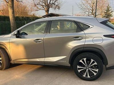Usata Lexus NX300h Executive Line 197 CV (144 kW) 2018 SUV