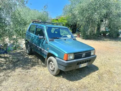 Usata Fiat Panda 4x4 Trekking 54 CV (39 kW) 2000 Verde Utilitaria