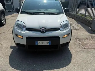Usata Fiat Panda S 69 CV (50 kW) 2023 Bianco Utilitaria