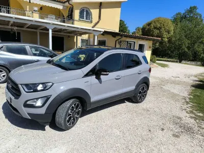 Usata Ford Ecosport Active 125 CV (91 kW) 2021 Grigio SUV