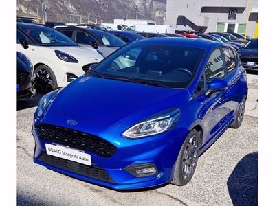 usata Ford Fiesta 7ª serie 1.0 Ecoboost Hybrid 125 CV 5 porte ST-Lin