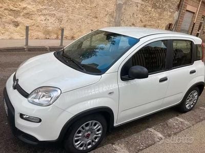 Usata Fiat Panda City Life 69 CV (50 kW) 2023 Bianco Utilitaria