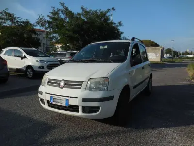 Usata Fiat Panda Dynamic 60 CV (44 kW) 2009 Bianco Utilitaria