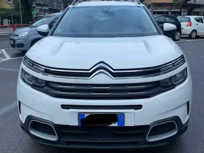 Usata Citroën C5 Aircross Live 131 CV (96 kW) 2019 Bianco SUV
