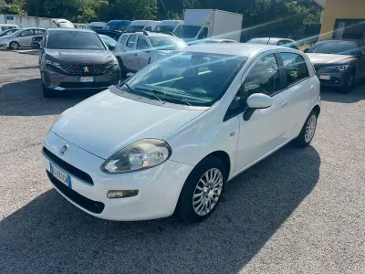 Usata Fiat Punto 75 CV (55 kW) 2013 Bianco Utilitaria