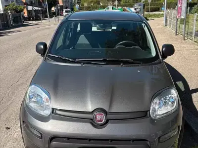 Usata Fiat Panda 70 CV (51 kW) 2022 Grigio Utilitaria