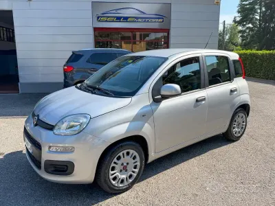 Usata Fiat Panda Easy 69 CV (50 kW) 2018 Grigio Utilitaria