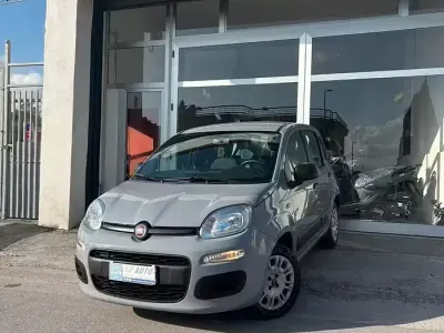Begagnad Fiat Panda Easy 69 HK (50 kW) 2019 Grå Halvkombi