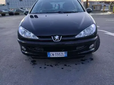 Usata Peugeot 206