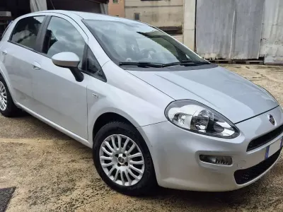 Usata Fiat Punto Easy 75 CV (55 kW) 2013 Grigio Utilitaria